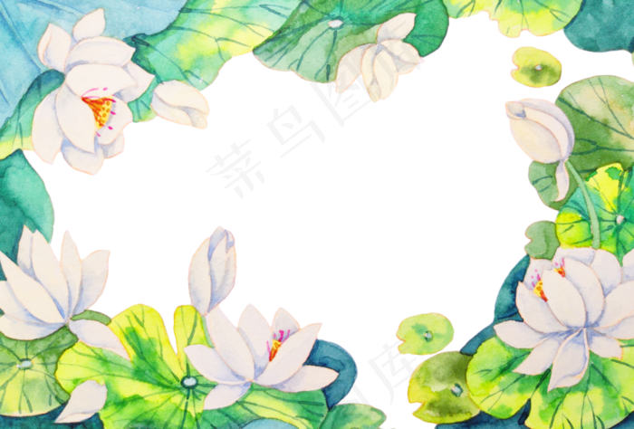 夏天荷花盛开装饰插画