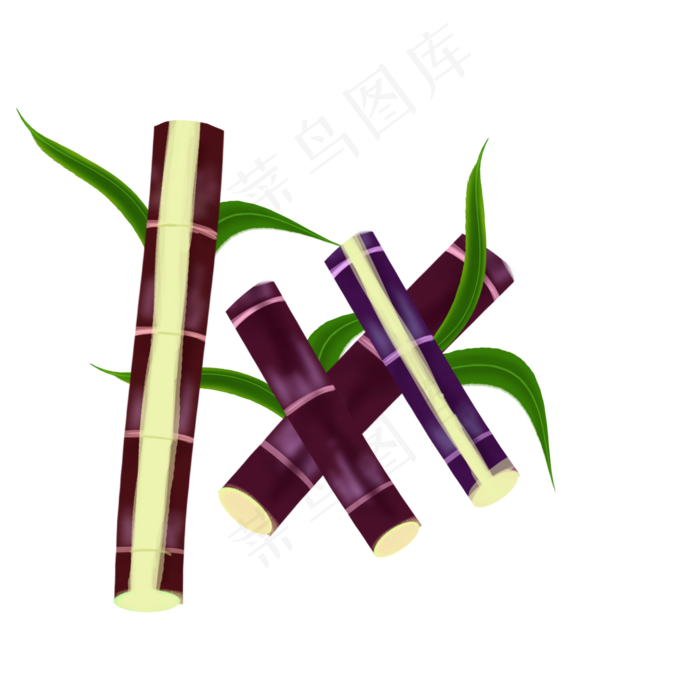 水果甘蔗实心草本喜光作物