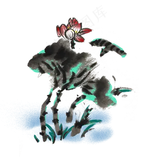 夏天清凉芙蓉手绘水墨