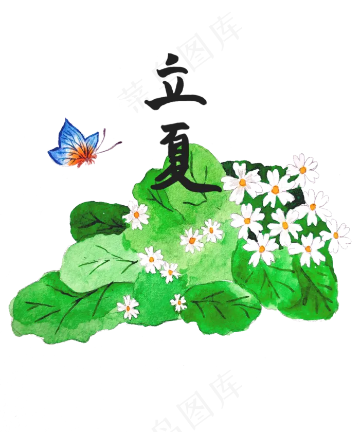 立夏节气周五雏菊PNG蝴蝶PNG(2500X3000(DPI:72))psd模版下载