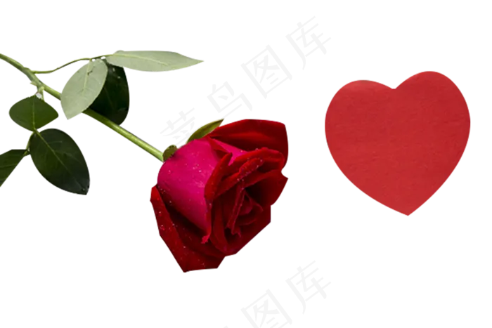 白丝绸和玫瑰(1000X667(DPI:300))psd模版下载