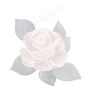 典雅手绘粉红色玫瑰花