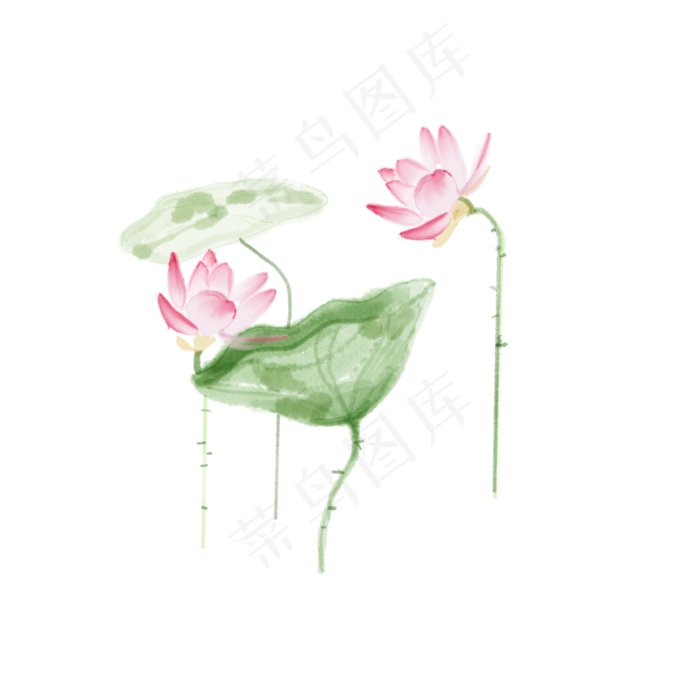 唯美荷花植物组合(2048X2048(DPI:300))psd模版下载