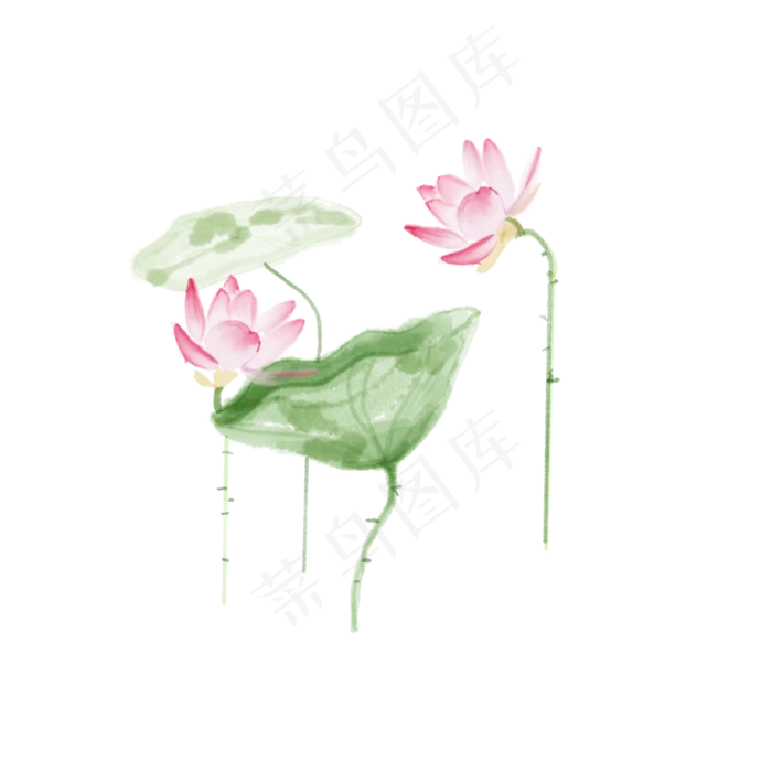唯美荷花植物组合(2048X2048(DPI:300))psd模版下载