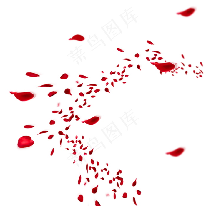 红色飘散玫瑰花瓣(2000X2000(DPI:300))psd模版下载
