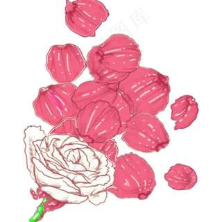 手绘白玫瑰花花瓣透明底唯美素材