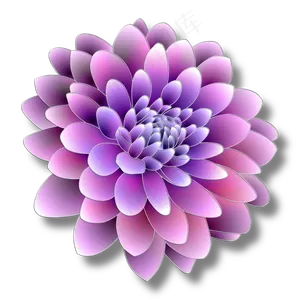 千层万紫的花朵儿
