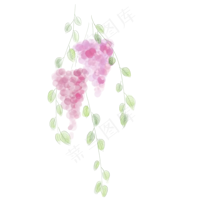 水彩紫藤萝植物(2000X2000(DPI:300))psd模版下载