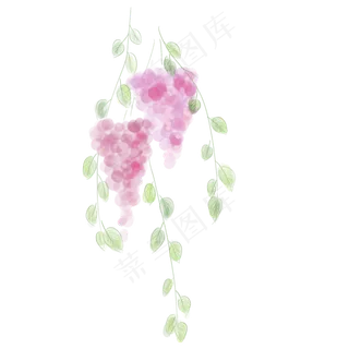 水彩紫藤萝植物
