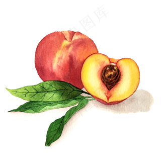 水蜜桃水果甜蜜桃子催讨鲜果PGN