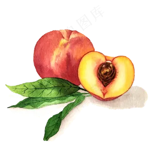 水蜜桃水果甜蜜桃子催讨鲜果PGN