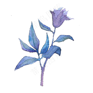 手绘水彩蓝紫色系花朵花束免扣