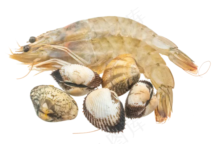 鲜虾花蛤(3000*2000px 300 dpi )