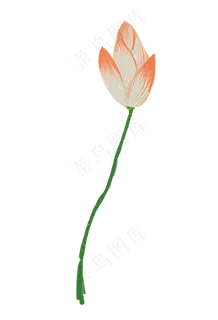 一朵荷花手绘 一朵荷花手绘