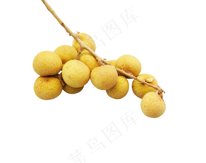 桂圆龙眼热带水果