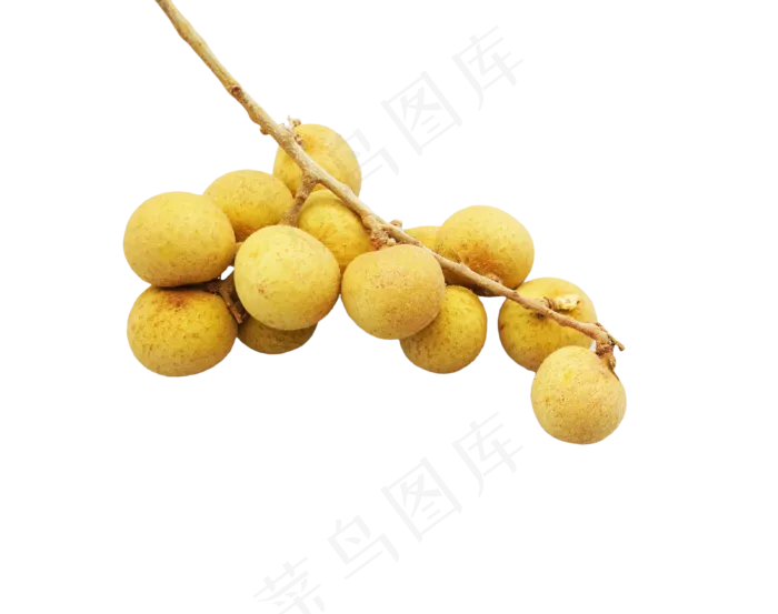 桂圆龙眼热带水果(2000X2000(DPI:300))