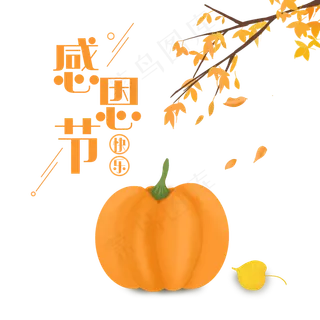 感恩节南瓜装饰,免抠元素