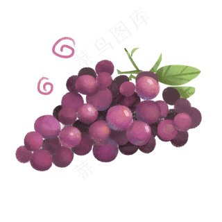 水果紫色葡萄小清新手绘风格平面