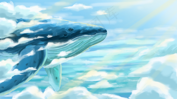 夏天治愈天空鲸鱼