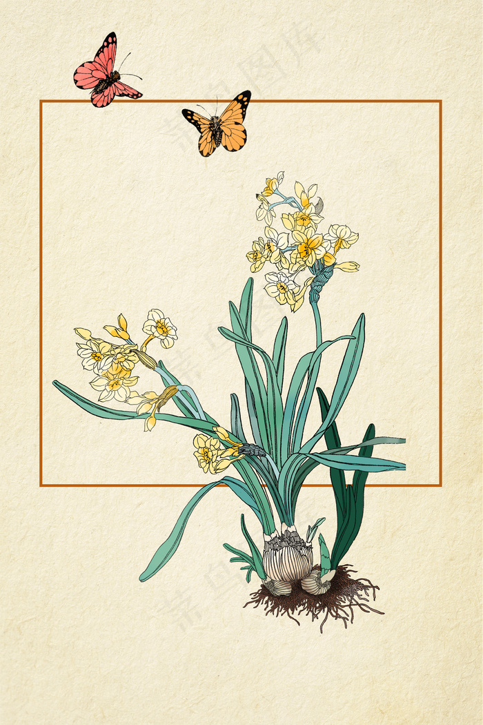 工笔画菊花蝴蝶古典背景