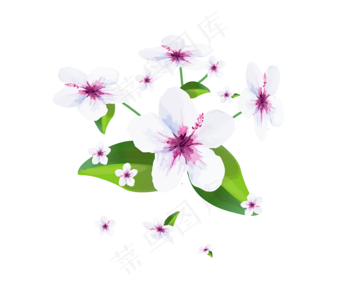 水彩水墨矢量仿真梨花(5000*4167px 300 dpi )ai矢量模版下载