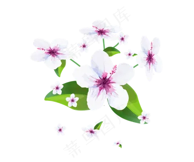 水彩水墨矢量仿真梨花