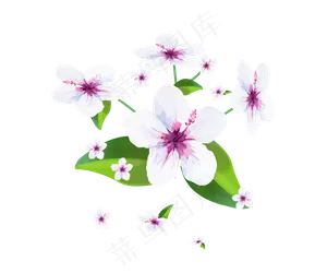 水彩水墨矢量仿真梨花