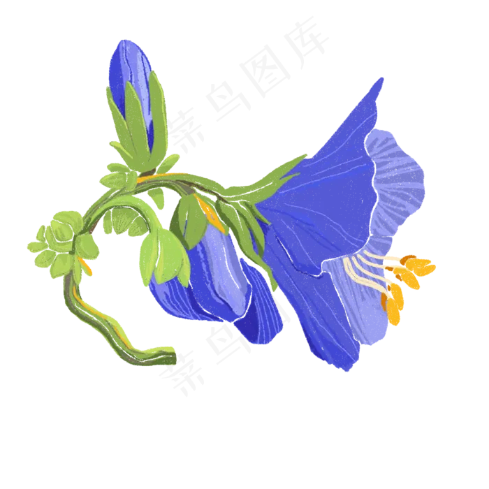 紫色喇叭花植物春天娇艳明媚PNG(2000X2000(DPI:300))psd模版下载