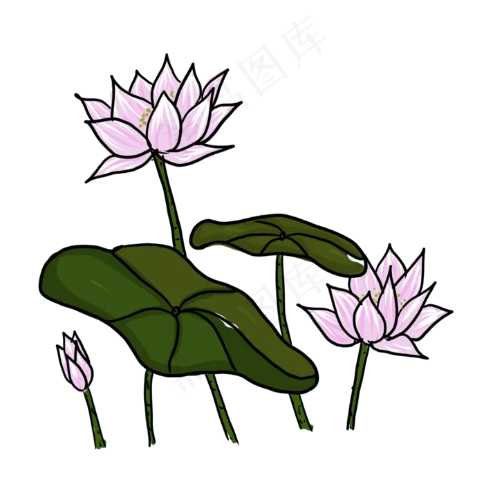 手绘中国风荷花PNG素材(2000X2000(DPI:300))psd模版下载