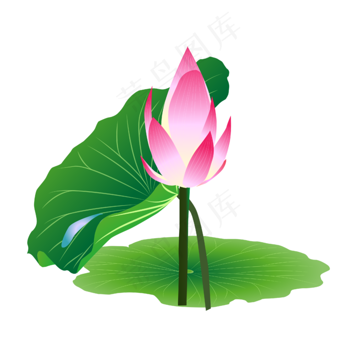 粉色的荷花(4167*4167px 300 dpi )ai矢量模版下载