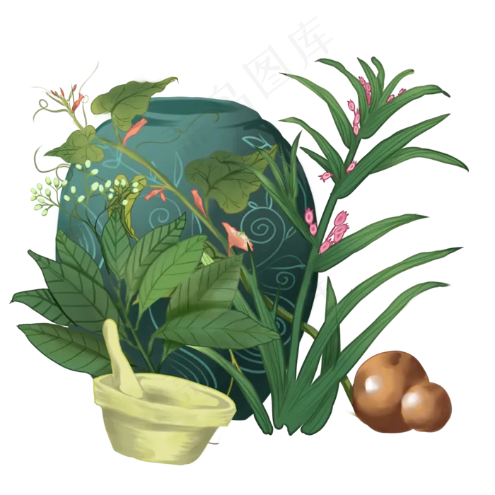 中药中医药材食疗保健养生,免抠元素(2000*2000px 300 dpi )psd模版下载