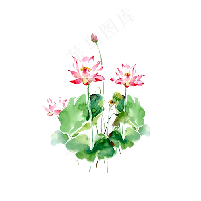 手绘荷花矢量图元素(2000X2000(DPI:300))ai矢量模版下载