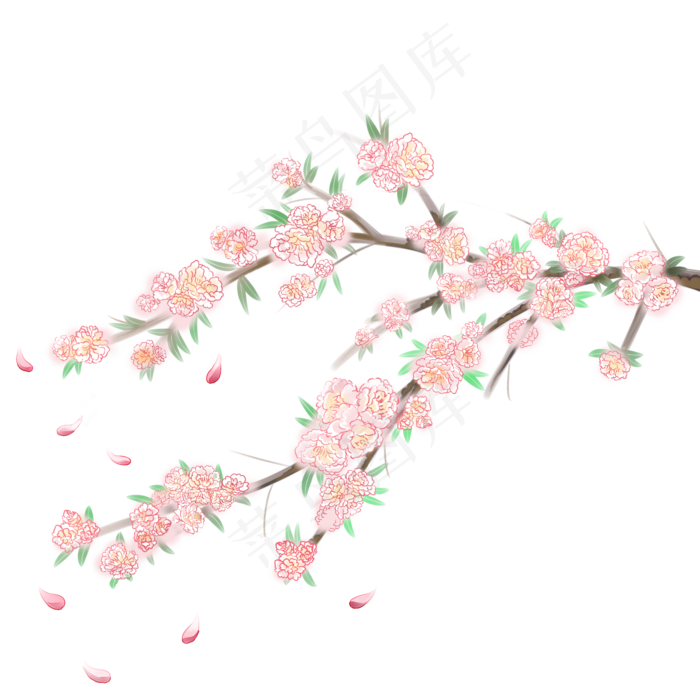 植物科属绿植花朵花瓣飞舞