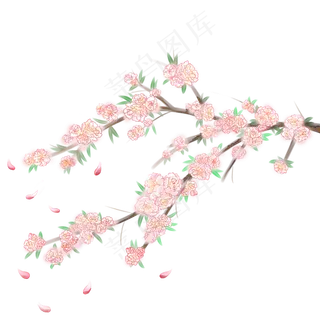 植物科属绿植花朵花瓣飞舞