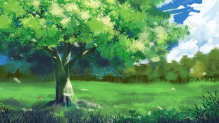 治愈唯美风景场景阳光草地植物天空云彩日系