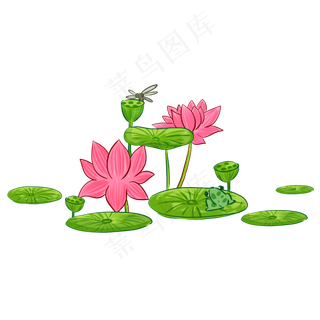 夏季节气荷花荷叶