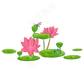 夏季节气荷花荷叶