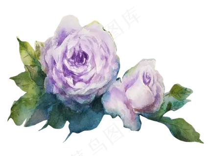 水彩花朵装饰图案小清鲜花 水彩花朵装饰图案小清鲜花