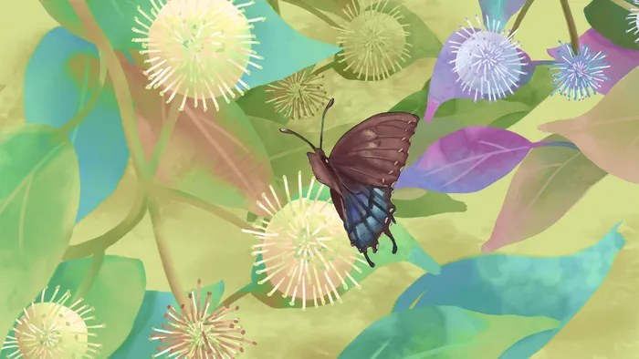 深秋燕尾蝶绒花霜降节气(2880*1620px 300 dpi )psd模版下载