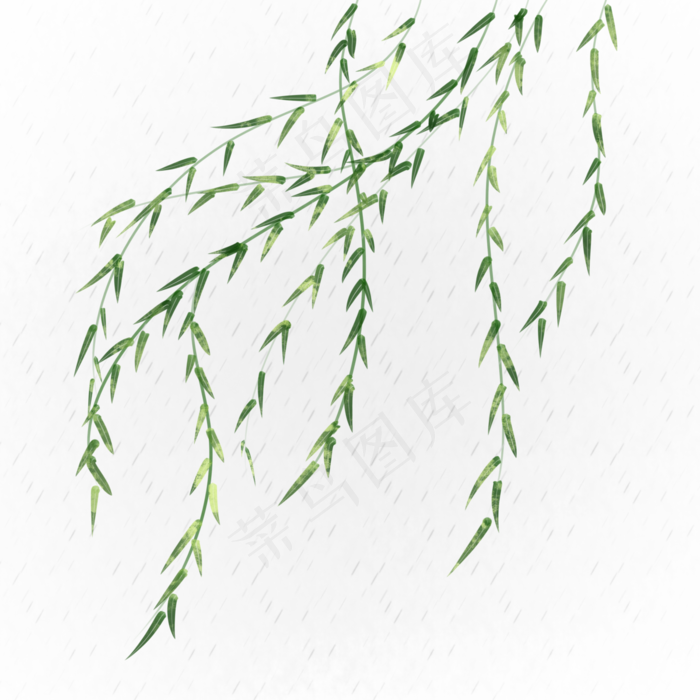 春风吹柳树飘手绘装饰,免抠元素(3000X3000(DPI:300))psd模版下载