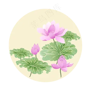 荷花荷花国画荷花