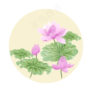 荷花荷花国画荷花 荷花荷花国画荷花