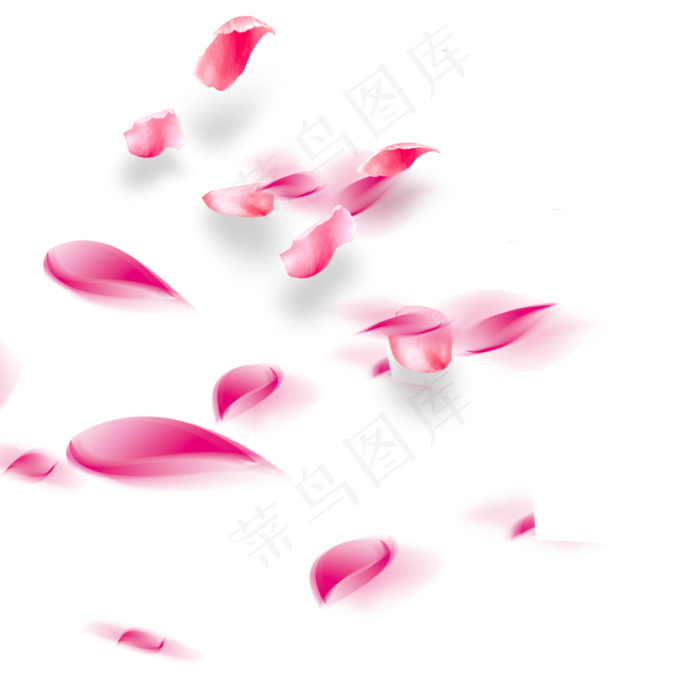 蓝莓粉红色花瓣元素,免抠元素(2000*2000px 300 dpi )psd模版下载