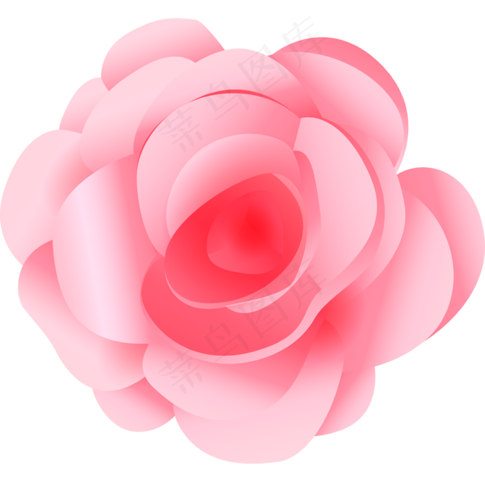 粉红色鲜红色矢量玫瑰