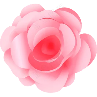 粉红色鲜红色矢量玫瑰