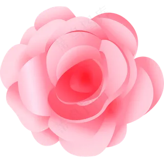 粉红色鲜红色矢量玫瑰