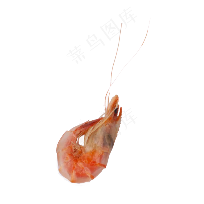 虾实物拍摄（png免抠）(2000*2000px)psd模版下载