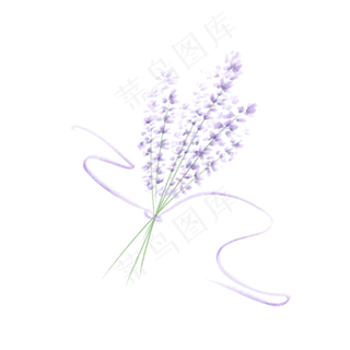 手绘水彩薰衣草素材