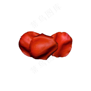 玫瑰花瓣实拍（png免抠）