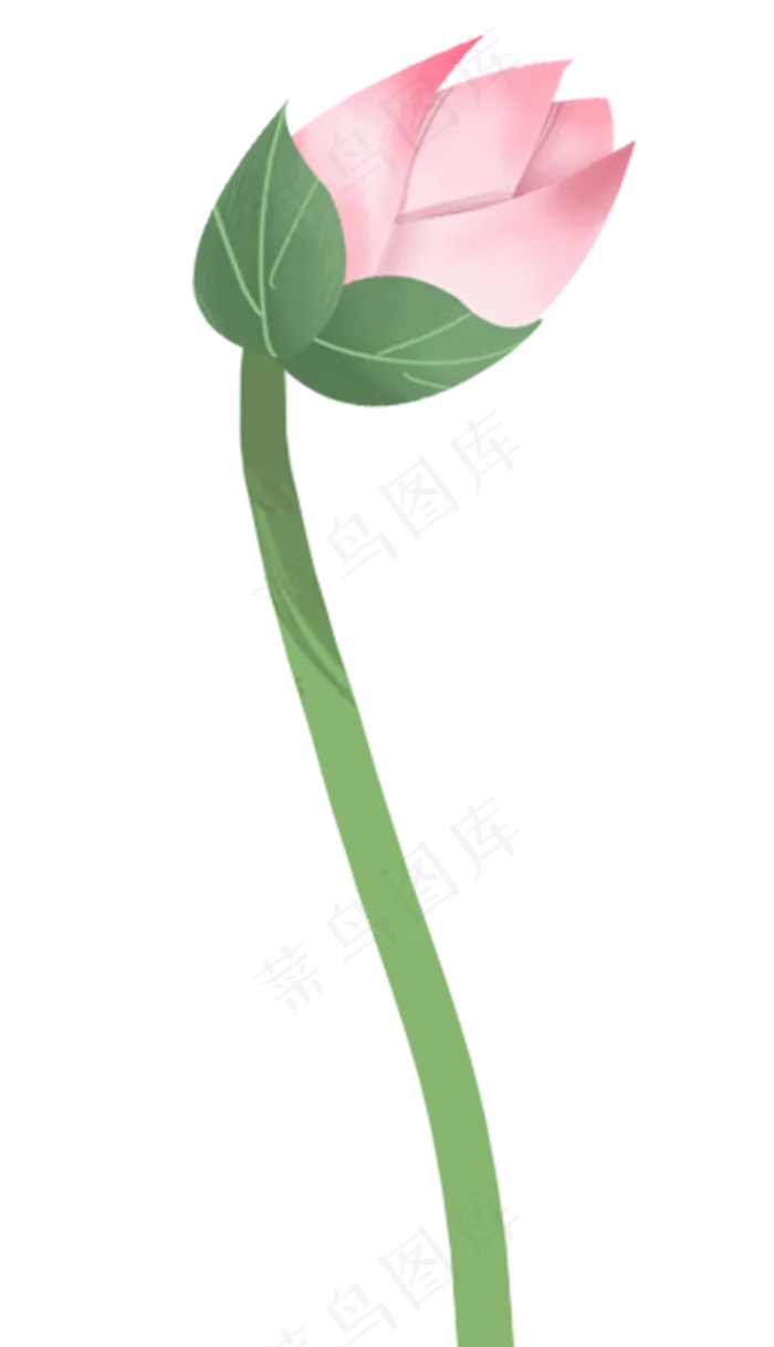 荷花花朵图案(1150X2000(DPI:300))psd模版下载